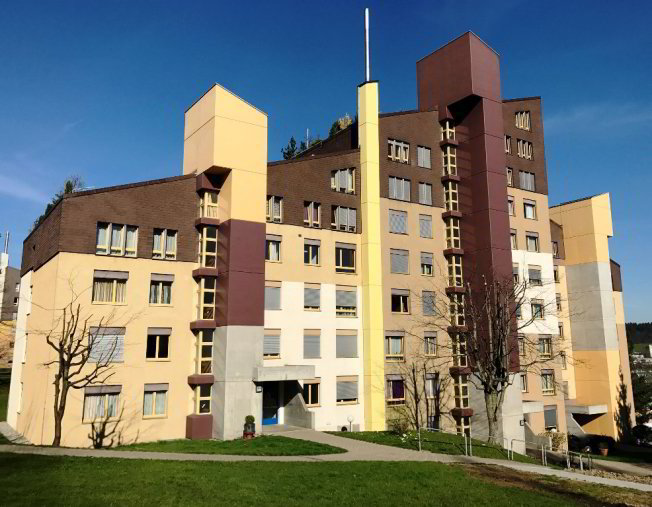 Appartamento di 2 locali in affitto a San Gallo - immagine 1/1