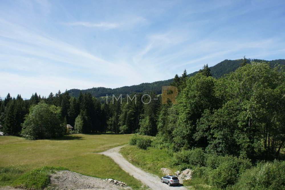 4.5 Zimmer Wohnung zum verkaufen in Les Paccots - Bild 1/14