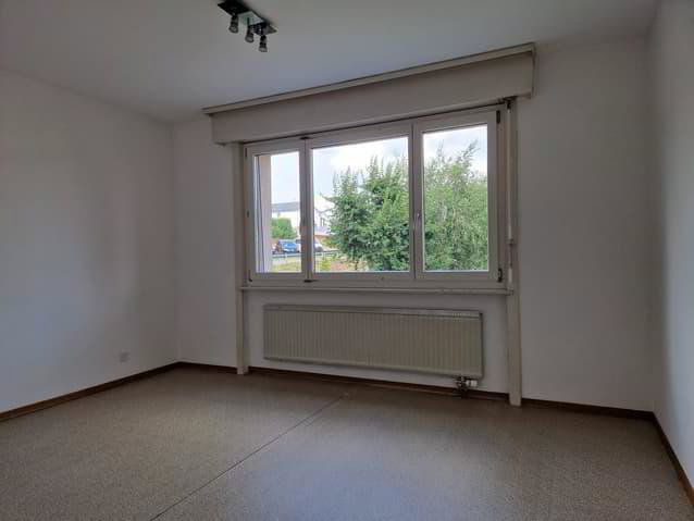 Appartamento di 4.5 locali in affitto a Alterswil FR - immagine 1/13