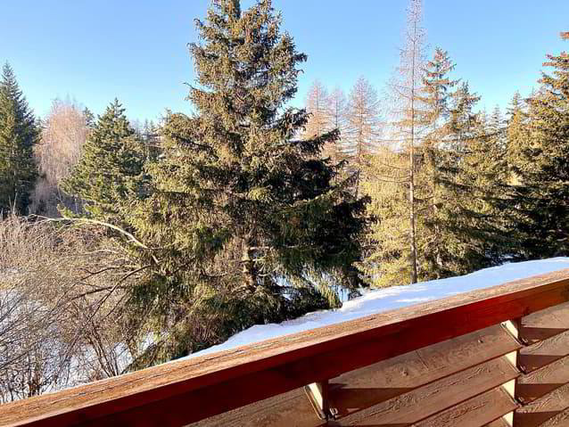 2.5 rooms Apartment for rent in Crans-Montana - image 1/10