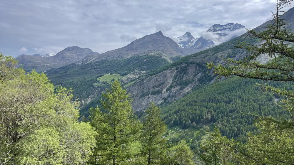 2.5 Zimmer Wohnung zum verkaufen in Saas-Fee - Bild 1/14