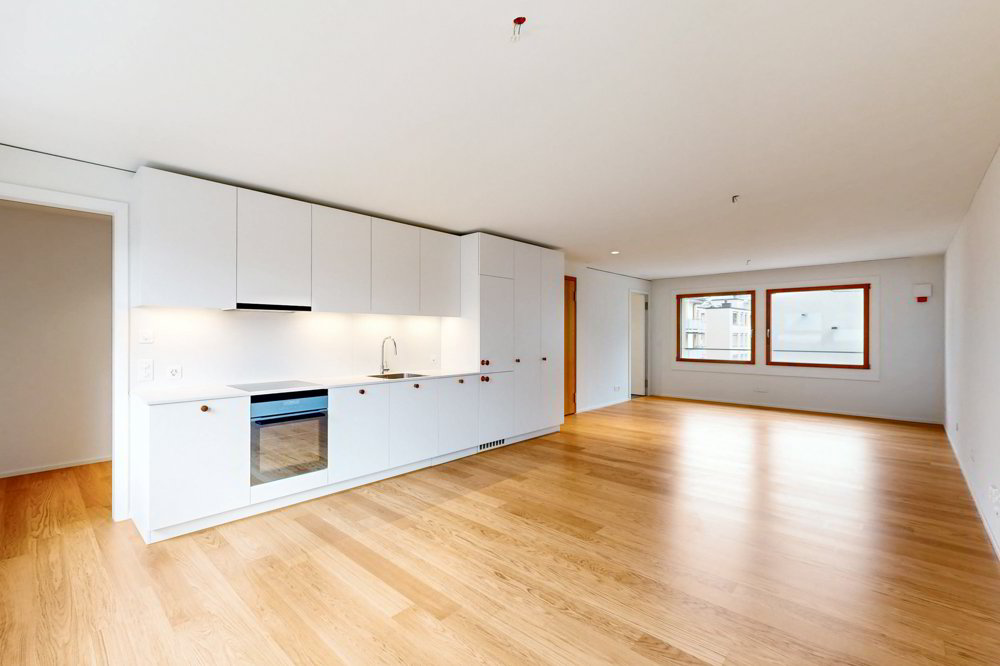Appartamento di 1 locali in affitto a Zürich - immagine 1/2