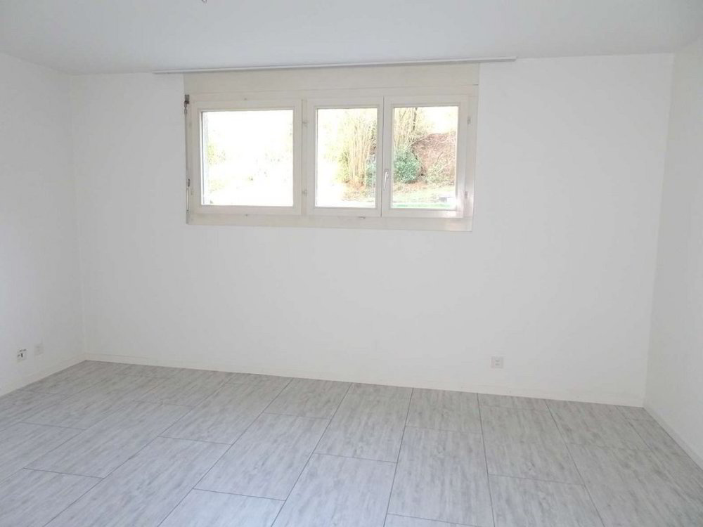 null rooms Office & Commercial for rent in Geroldswil - image 1/4