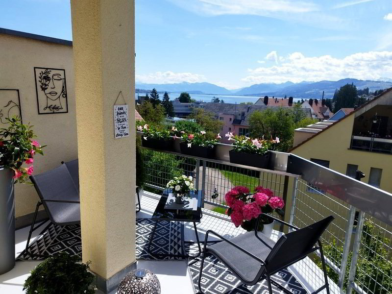 Appartamento di 2 locali in affitto a Au ZH - immagine 1/10