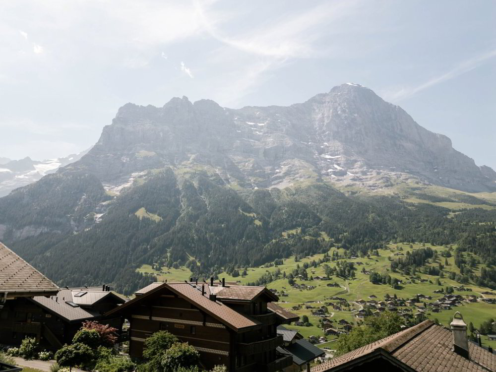 4.5 rooms Apartment to buy in Grindelwald - image 1/24