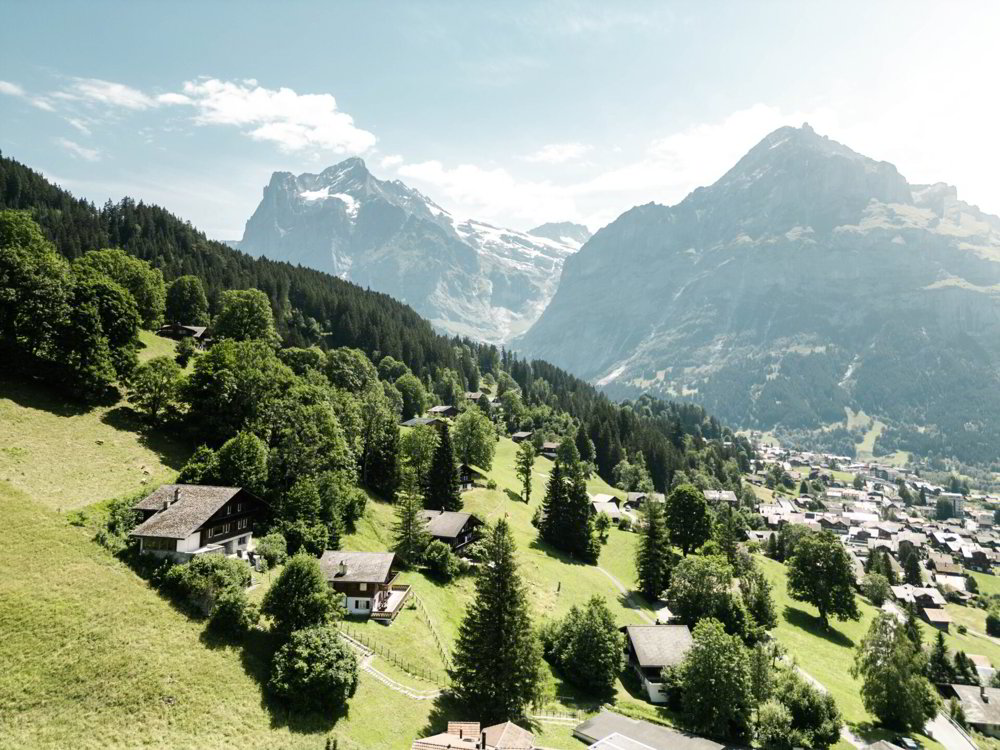 4.5 rooms Apartment to buy in Grindelwald - image 1/20