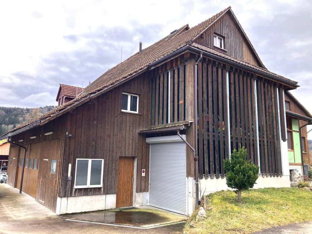 Baubewilligtes 2-Wohnungs-Projekt mit grosser Halle und 2’705 m³ Gebäudevolumen - Ansicht 2