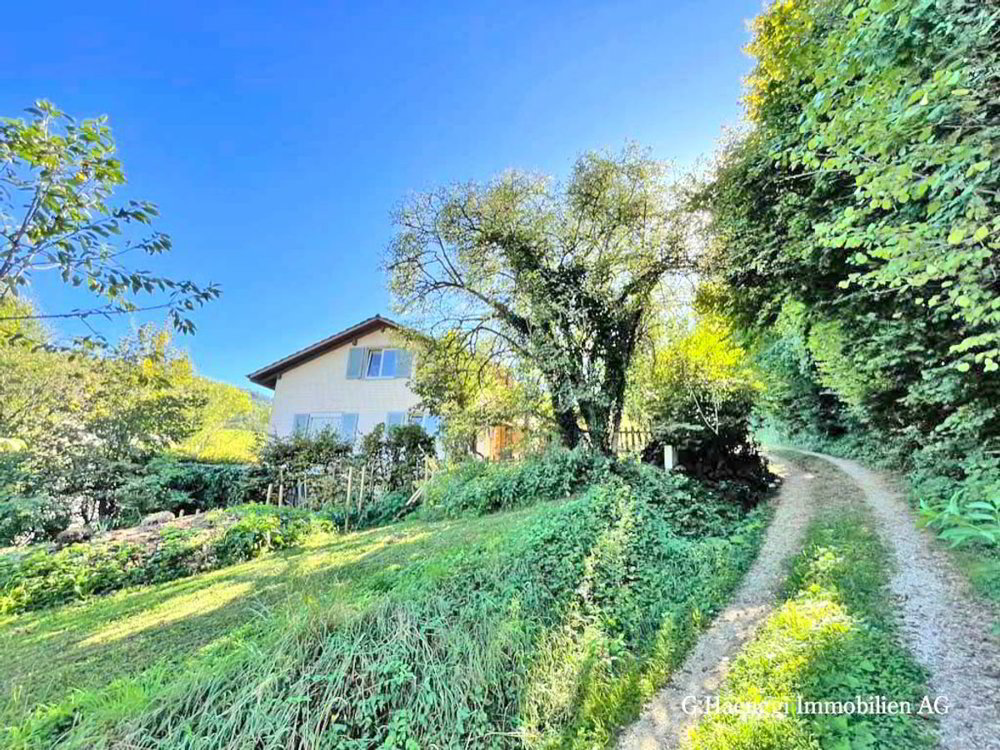 House for sale, Buchgasse 21 Basel-Landschaft (Wintersingen, Switzerland), Wintersingen