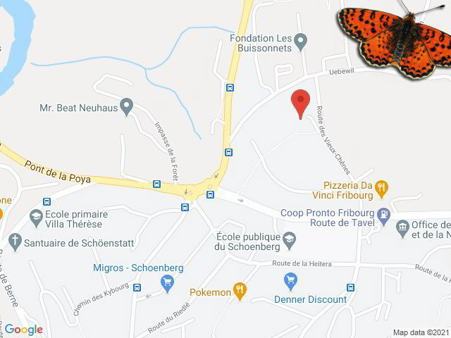 2 Zimmer Wohnung zu vermieten in Friburgo - Bild 1/9