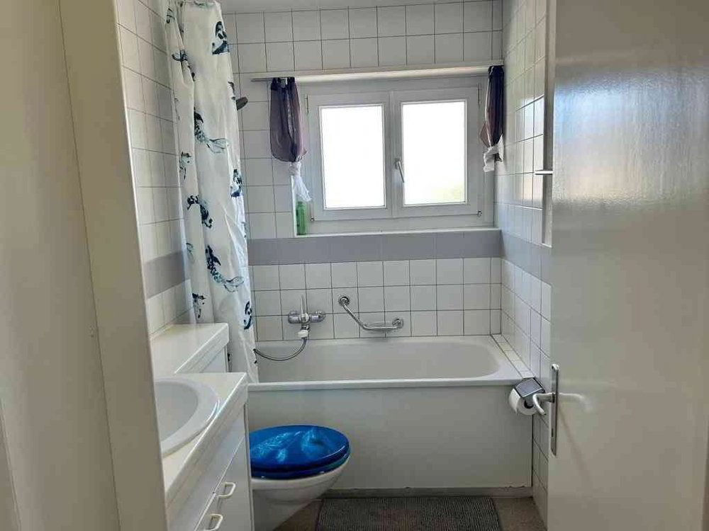 3 Zimmer Wohnung zu vermieten in Allschwil - Bild 1/7