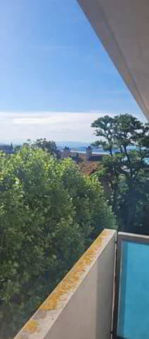 Appartamento di 1 locali in affitto a Neuchâtel - immagine 1/6