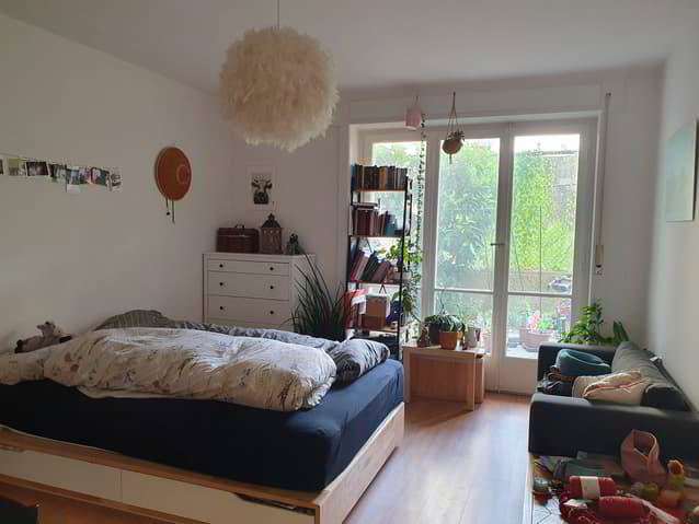 1.5 Zimmer Wohnung zu vermieten in Freiburg - Bild 1/3