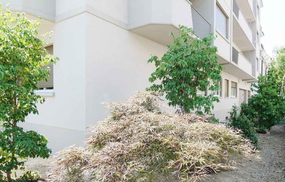 2 Zimmer Wohnung zu vermieten in Bâle - Bild 1/8