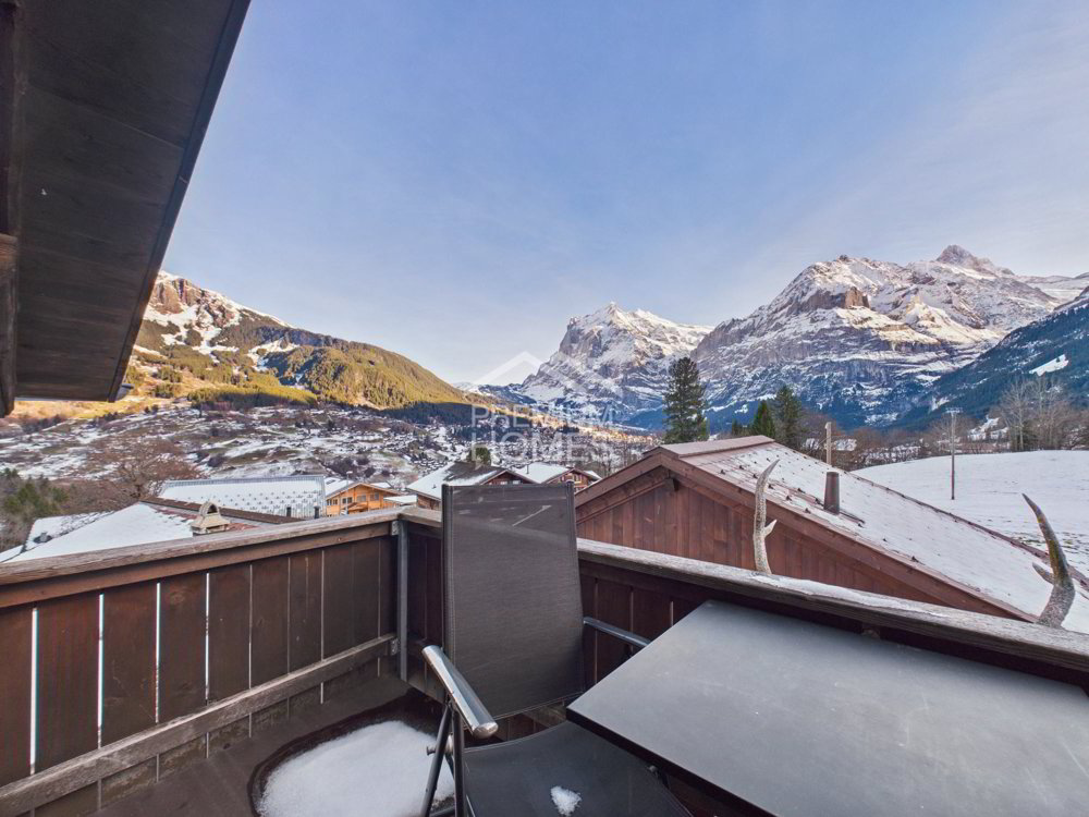 Ufficio & Commercio di 7 locali in vendita a Grindelwald - immagine 1/10