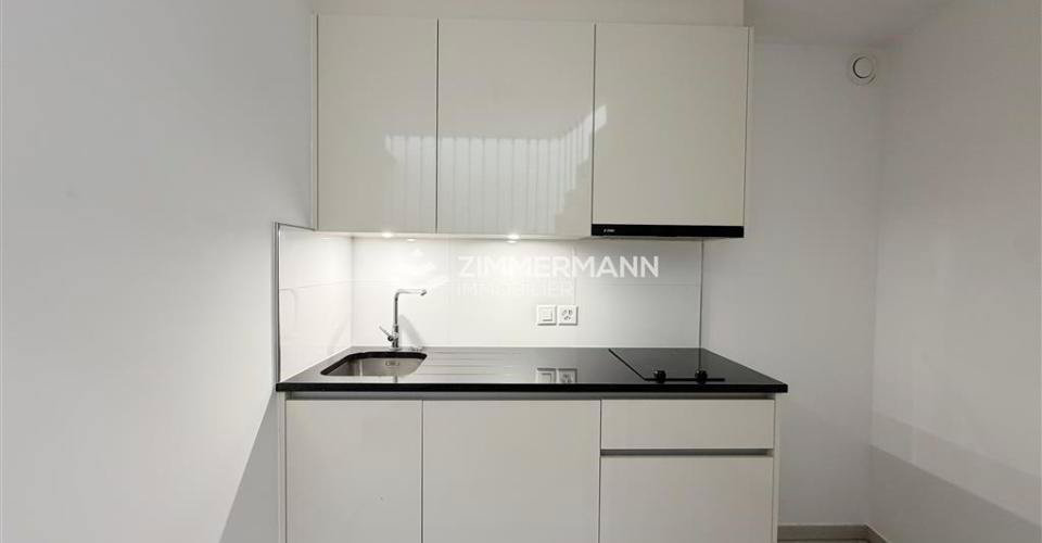 null rooms Office & Commercial for rent in Geneva - image 1/6
