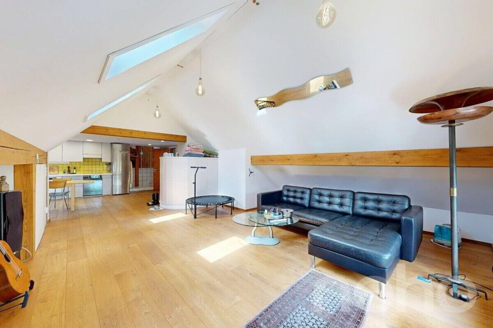 Maison 9.5 pièces à acheter à Altstätten SG - image 1/12