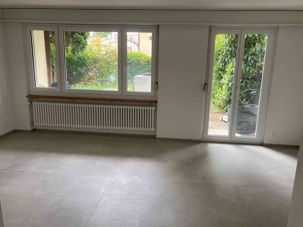 5.5 rooms House for rent in Schönenwerd - image 1/13