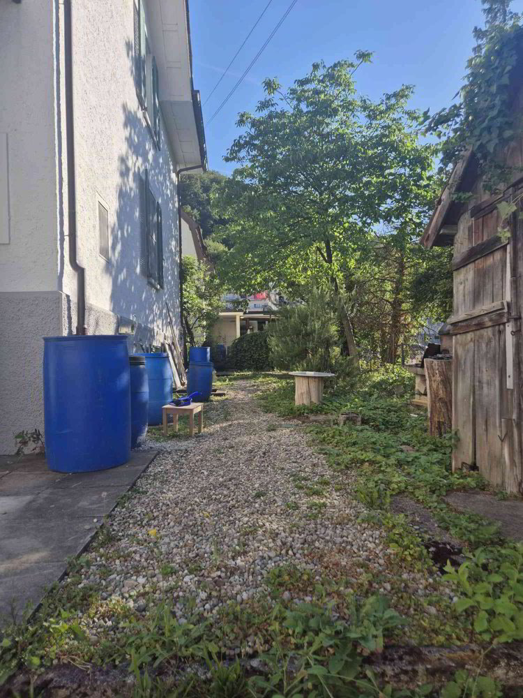 Appartamento di 3 locali in affitto a Trimbach - immagine 1/10