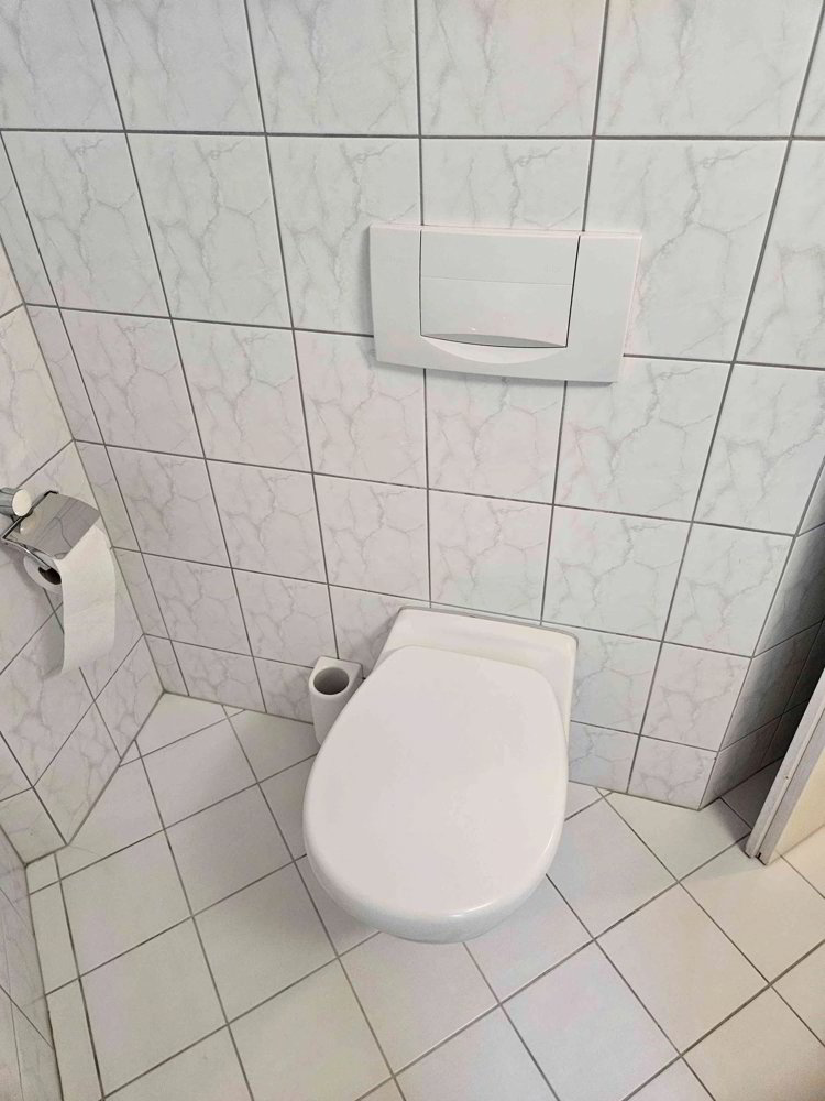 1.5 rooms Apartment for rent in Unterägeri - image 1/8