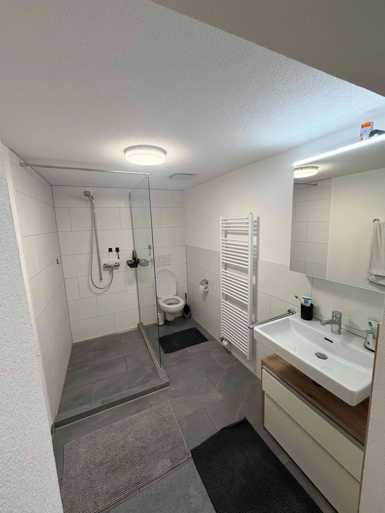 Appartement 2.5 pièces à louer à Altstätten SG - image 1/6