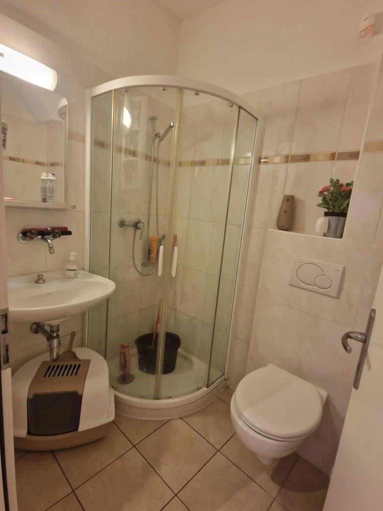 2 Zimmer Wohnung zu vermieten in Capolago - Bild 1/6