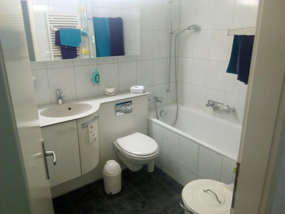 Appartement 4.5 pièces à louer à Au ZH - image 1/5