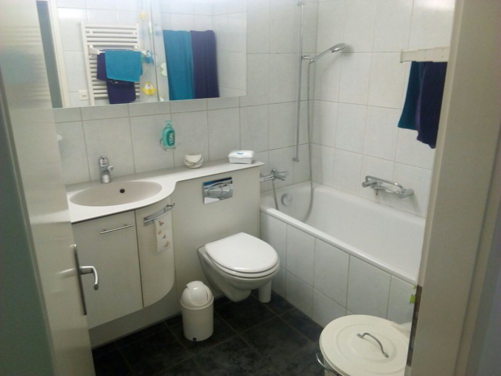 Appartement 4 pièces à louer à Au ZH - image 1/5