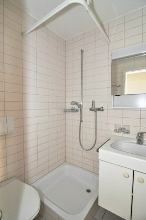1 rooms Apartment for rent in Basilea - image 1/4