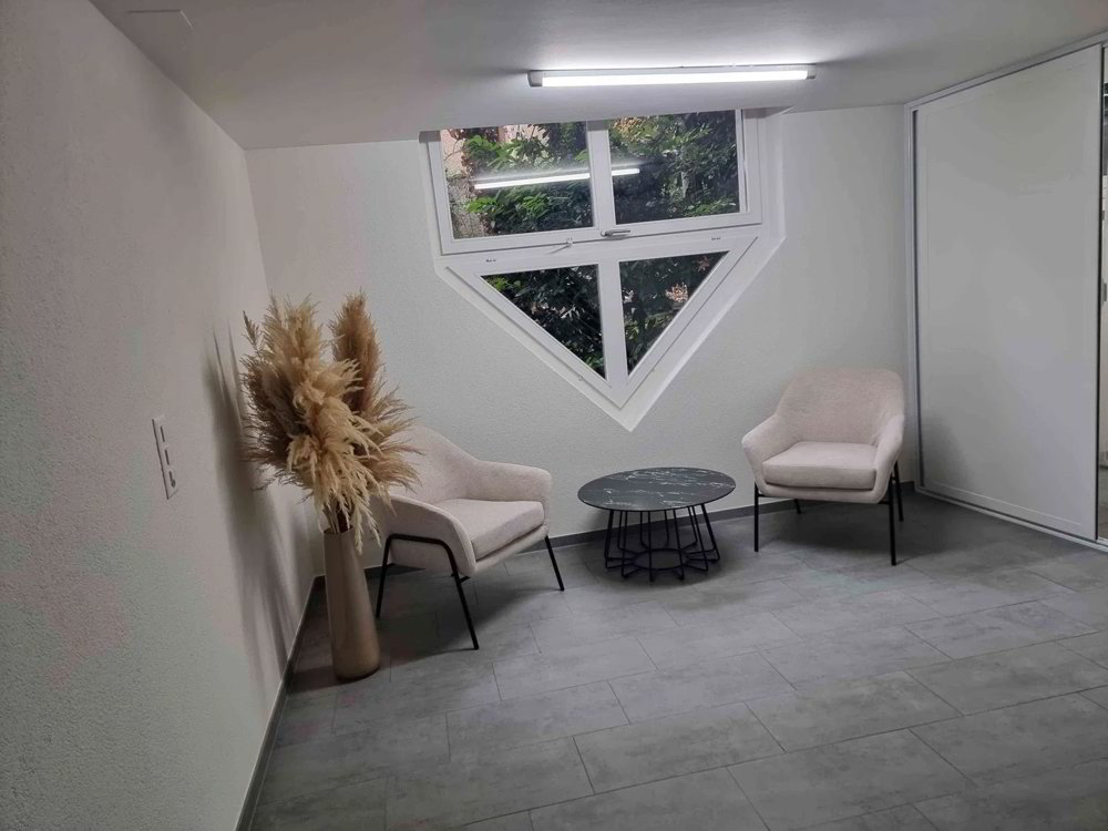 Bureau & Commerce 2 pièces à louer à Aarau - image 1/4