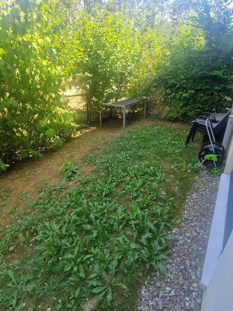 1 rooms Apartment for rent in Thônex - image 1/3