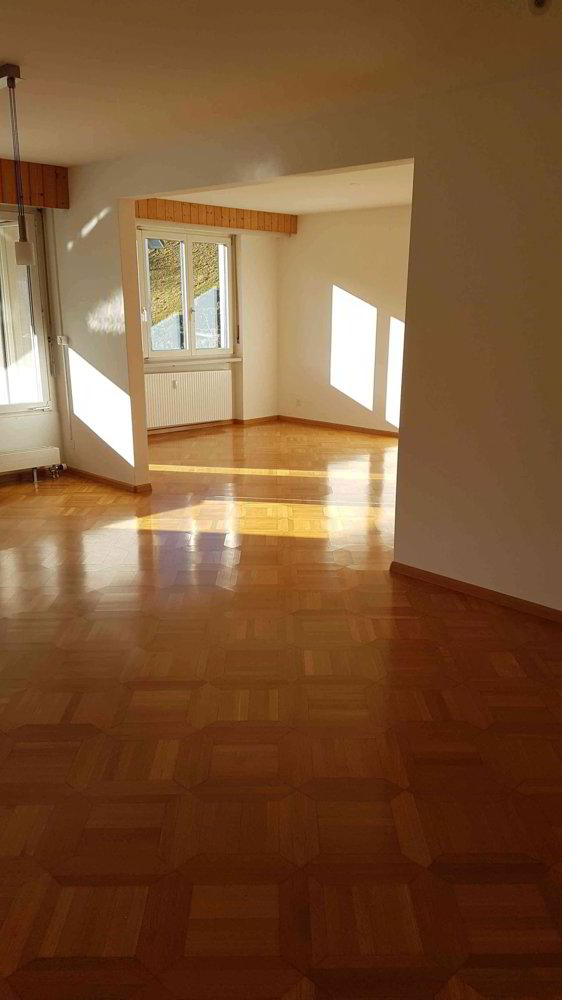 Apartment in Niederdorf, Bezirk Waldenburg - Ansicht 2