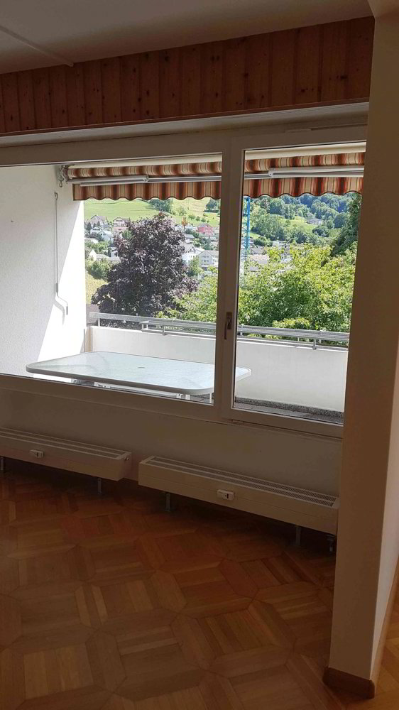 Apartment in Niederdorf, Bezirk Waldenburg - Ansicht 5