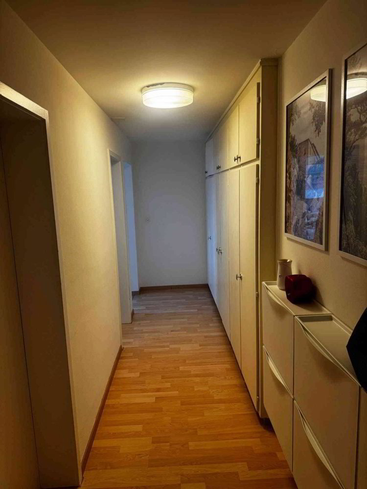 3.5 Zimmer Wohnung zu vermieten in Ebikon - Bild 1/11