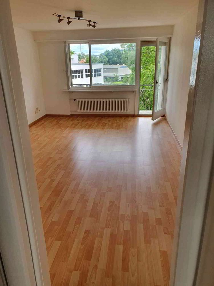 1 rooms Apartment for rent in Klingnau - image 1/3