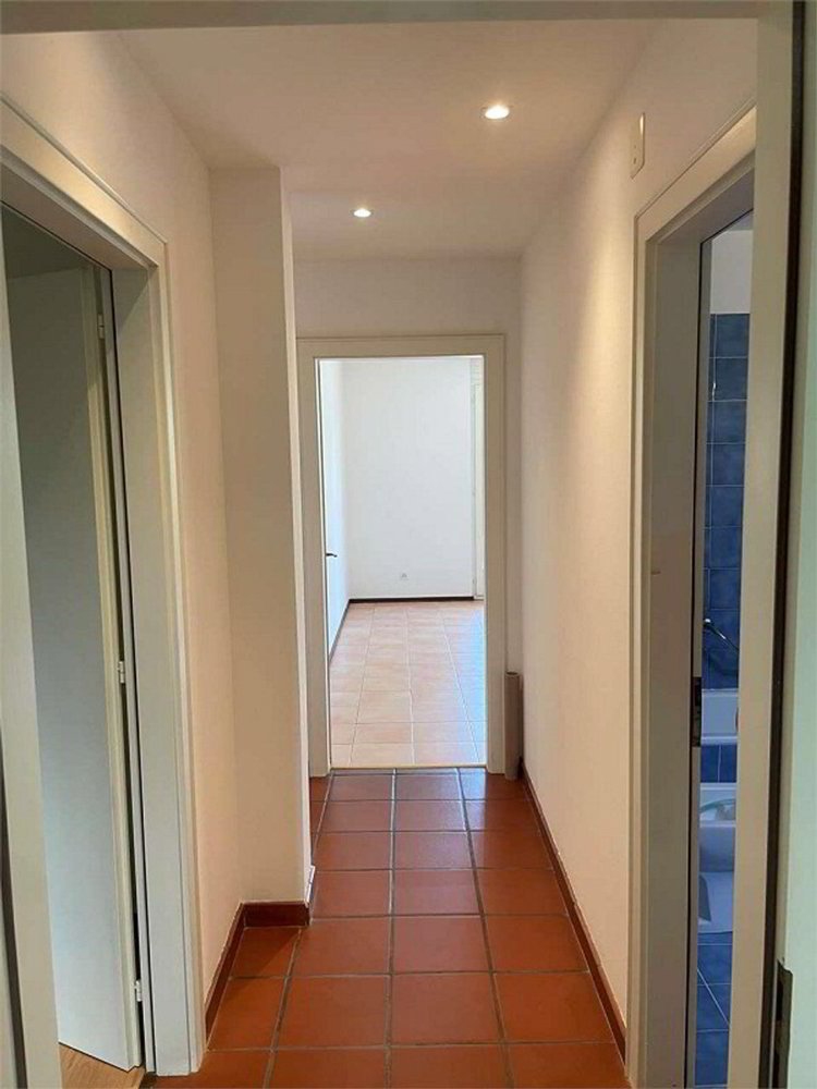 Appartement 3.5 pièces à louer à Gentilino - image 1/7