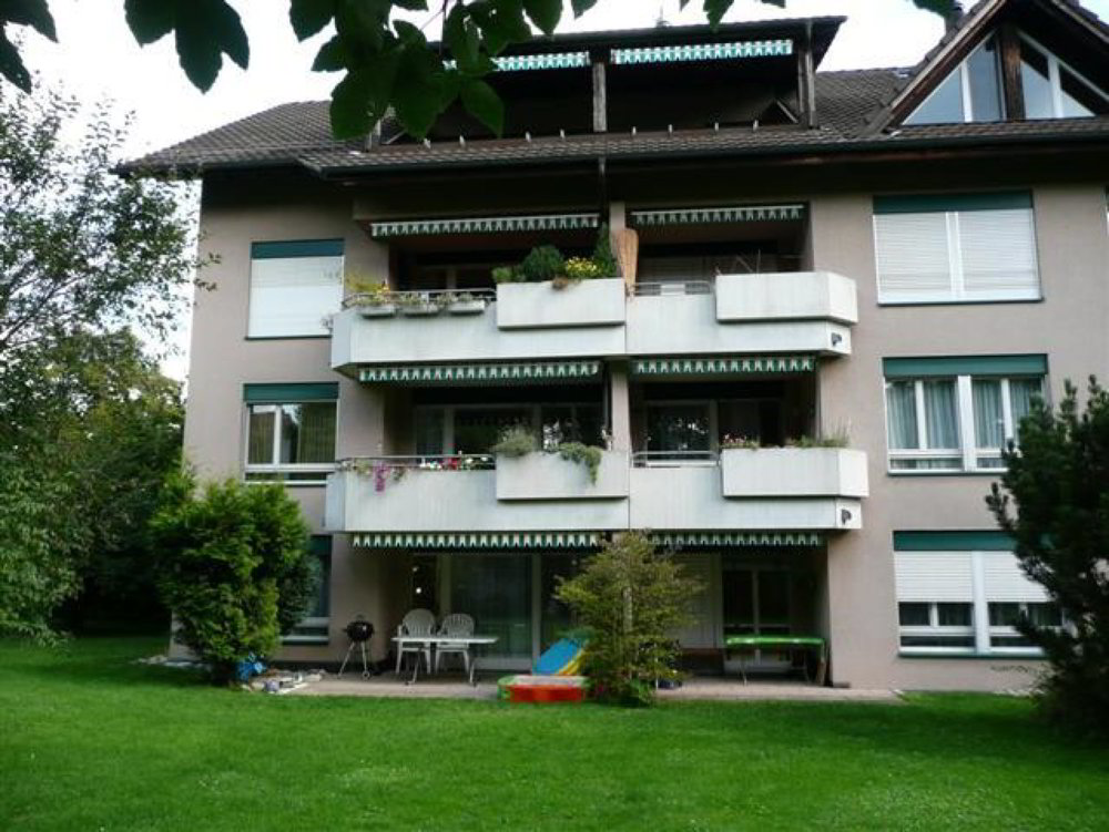 2.5 Zimmer Wohnung zu vermieten in Dietikon - Bild 1/2