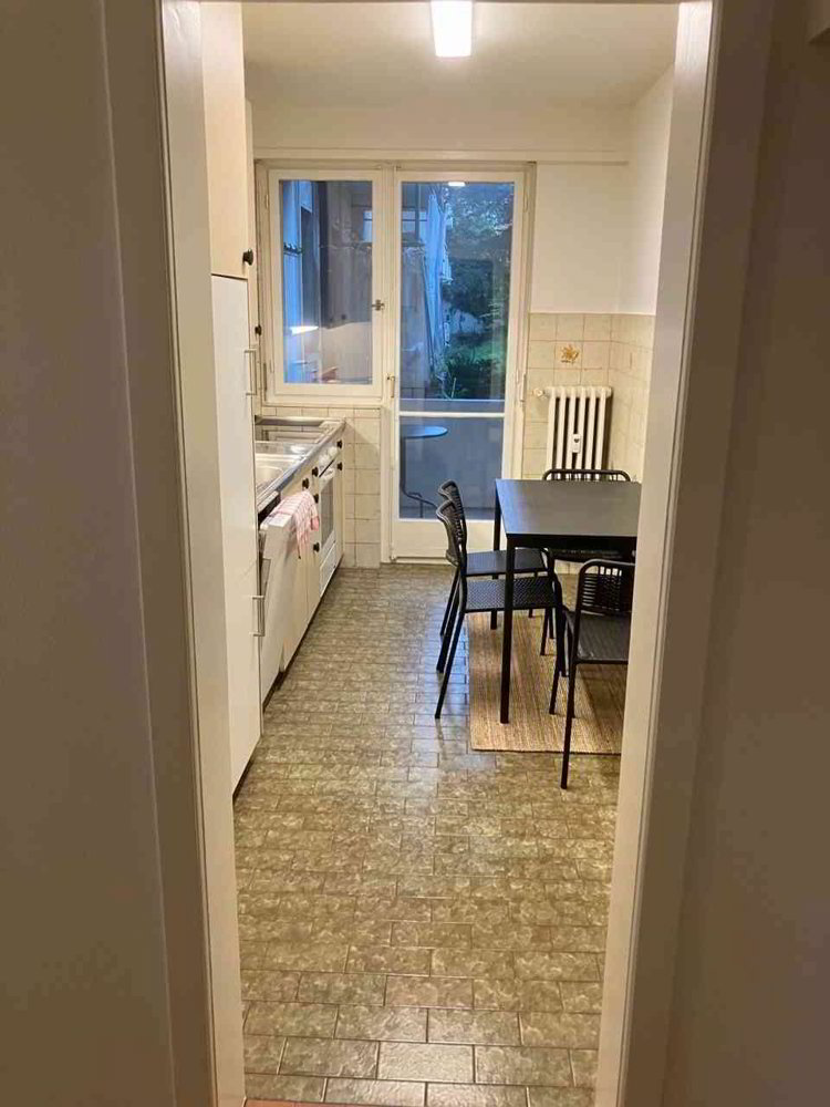 1 rooms Flat-sharing for rent in Basel - image 1/13