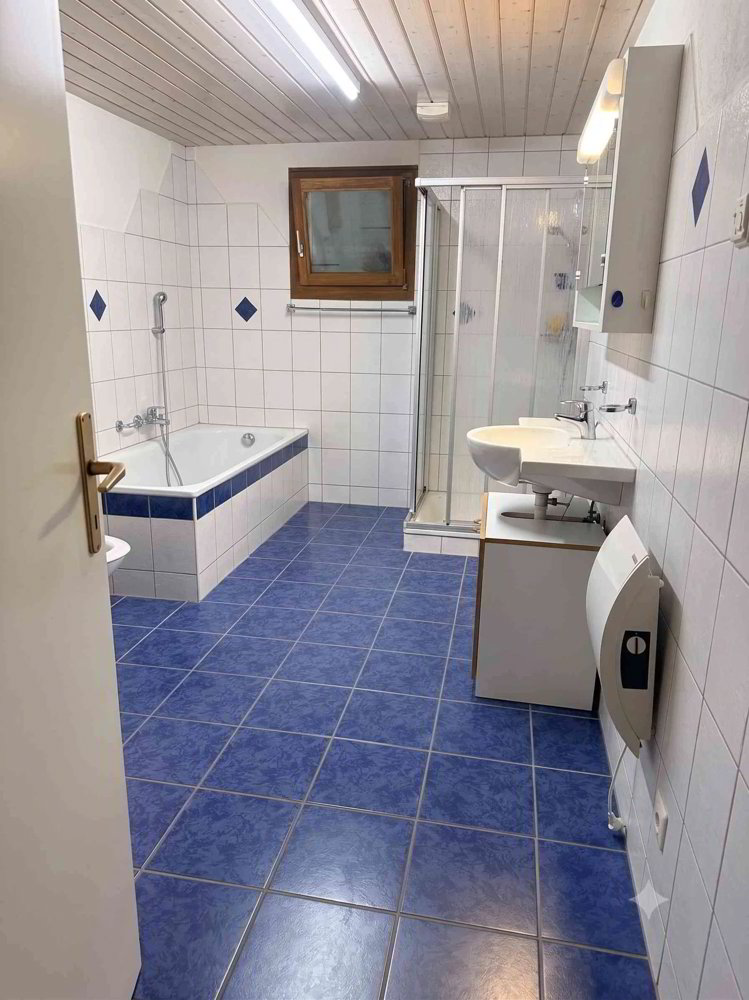 Maison 7 pièces à acheter à Meiringen - image 1/6