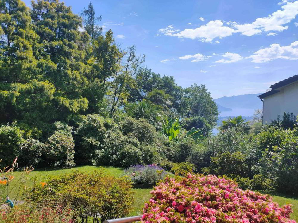 5.5 Zimmer Haus zum verkaufen in Brione sopra Minusio - Bild 1/13