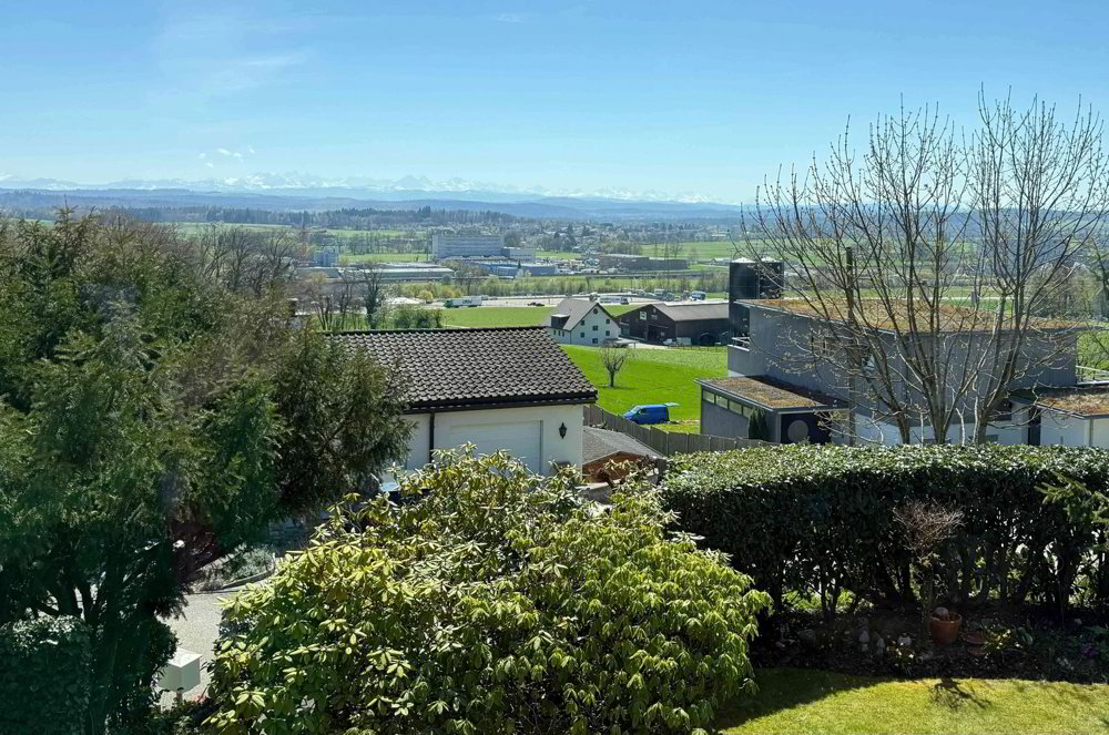 Maison 5.5 pièces à acheter à Hägendorf - image 1/3