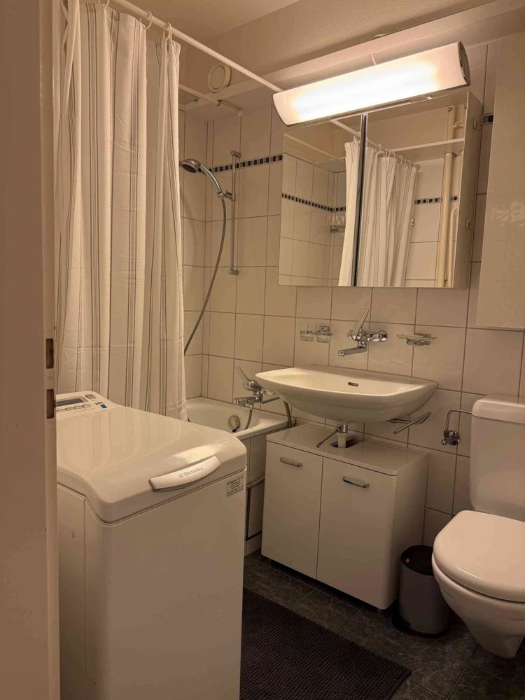 Appartamento di 3.5 locali in affitto a Allschwil - immagine 1/6