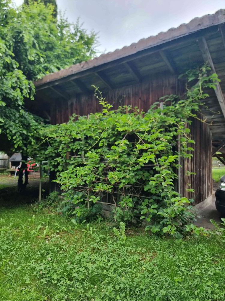 1 rooms Car park, garage for rent in Hittnau - image 1/1