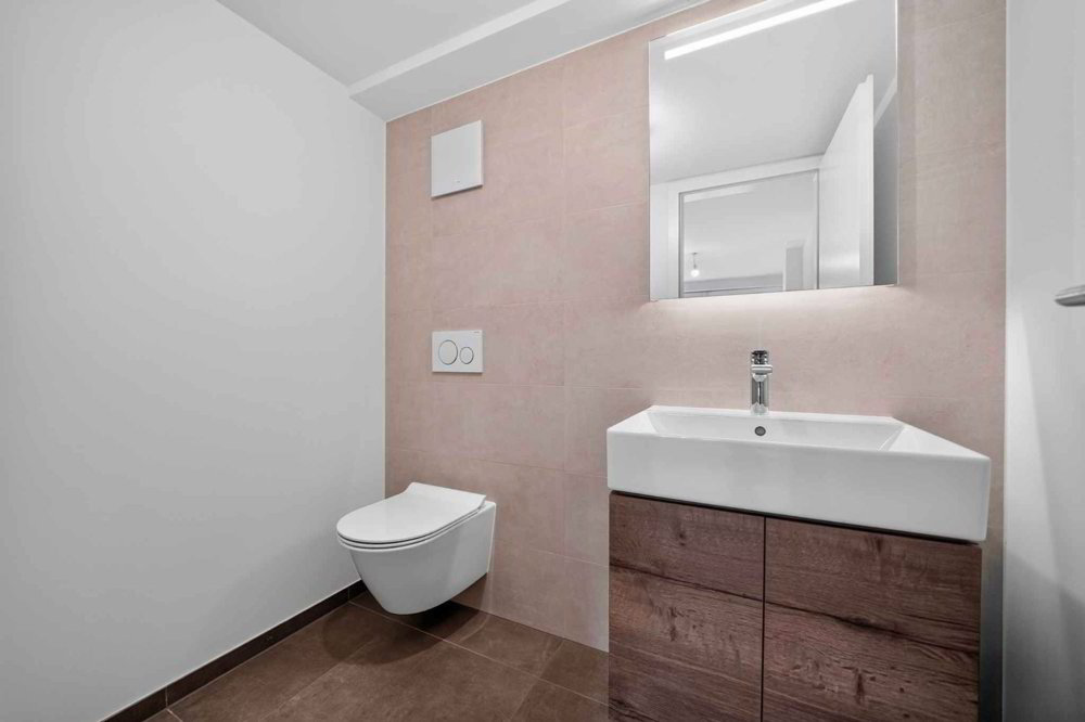 Appartement 3 pièces à louer à Allaman - image 1/11