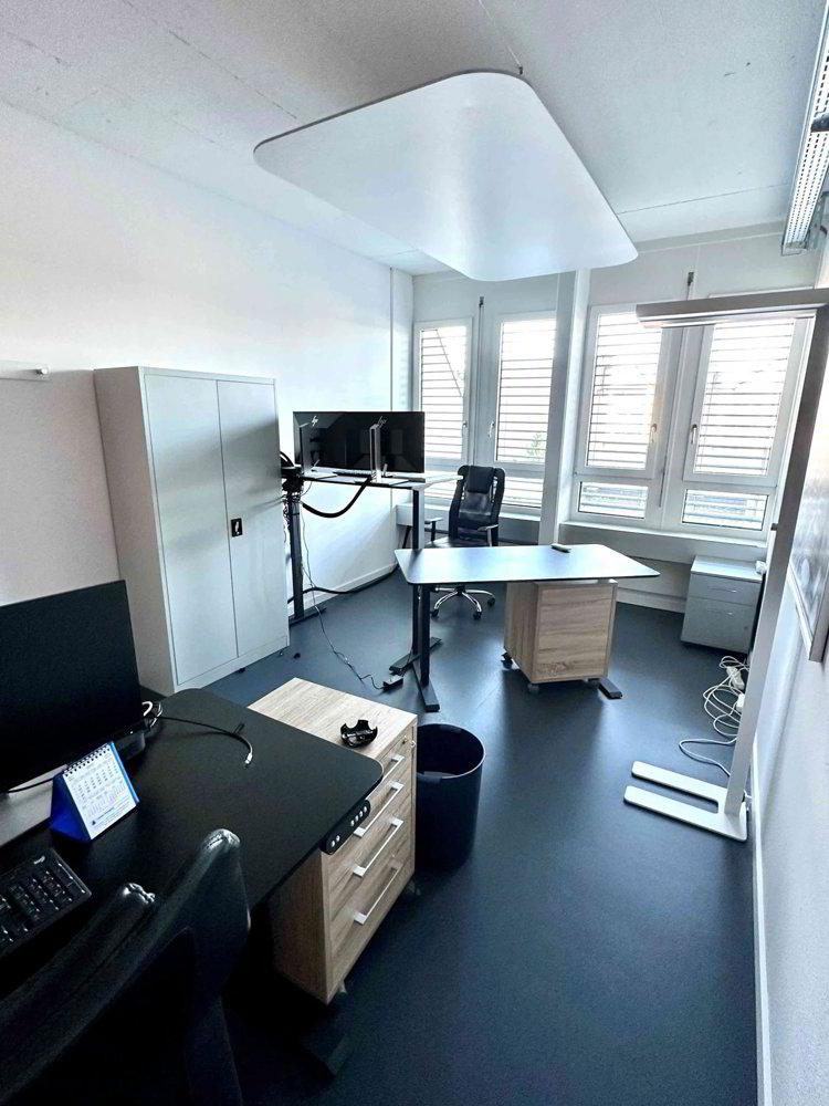 Bureau & Commerce 5 pièces à louer à Dietikon - image 1/2