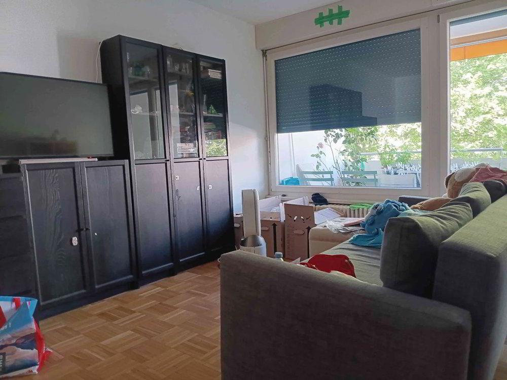 Appartement 5 pièces à louer à Grand-Lancy - image 1/11