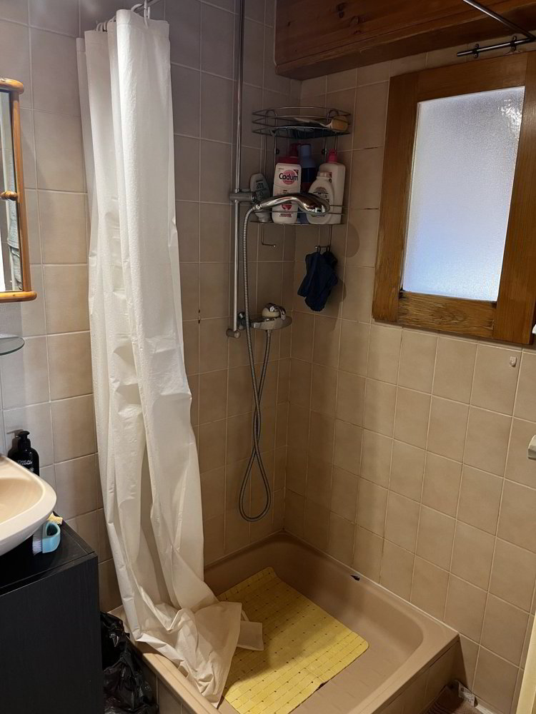 1 Zimmer Wohnung zu vermieten in Le Brassus - Bild 1/10