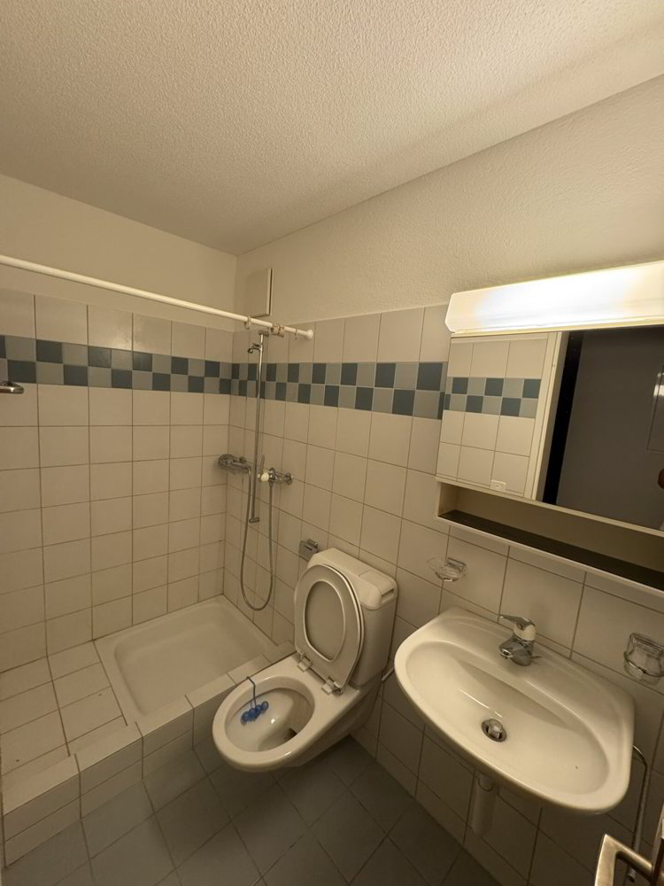 3.5 Zimmer Wohnung zu vermieten in Menziken - Bild 1/9