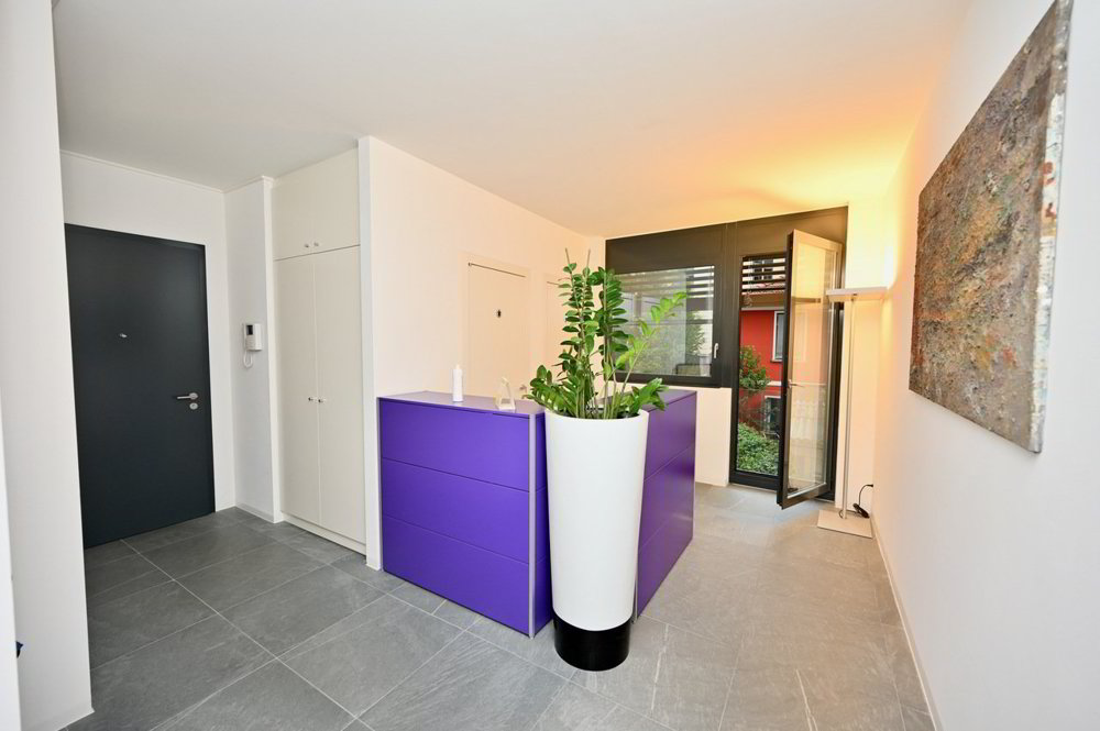 3 rooms Office & Commercial to buy in Lugano - image 1/13