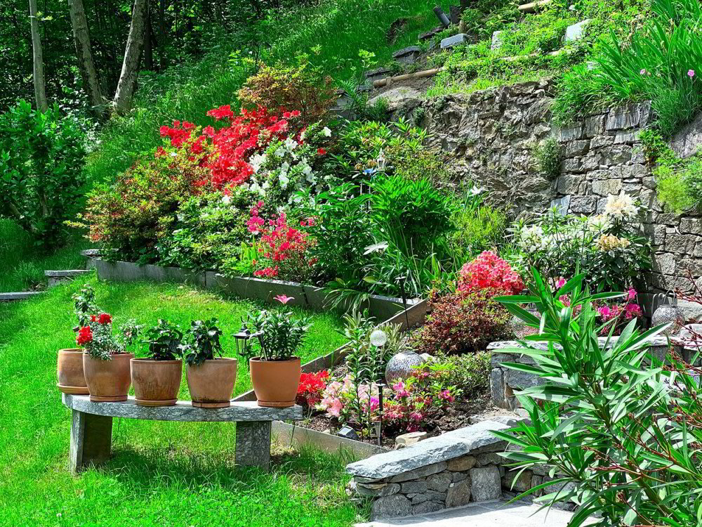 Maison 9 pièces à acheter à Torre - image 1/12