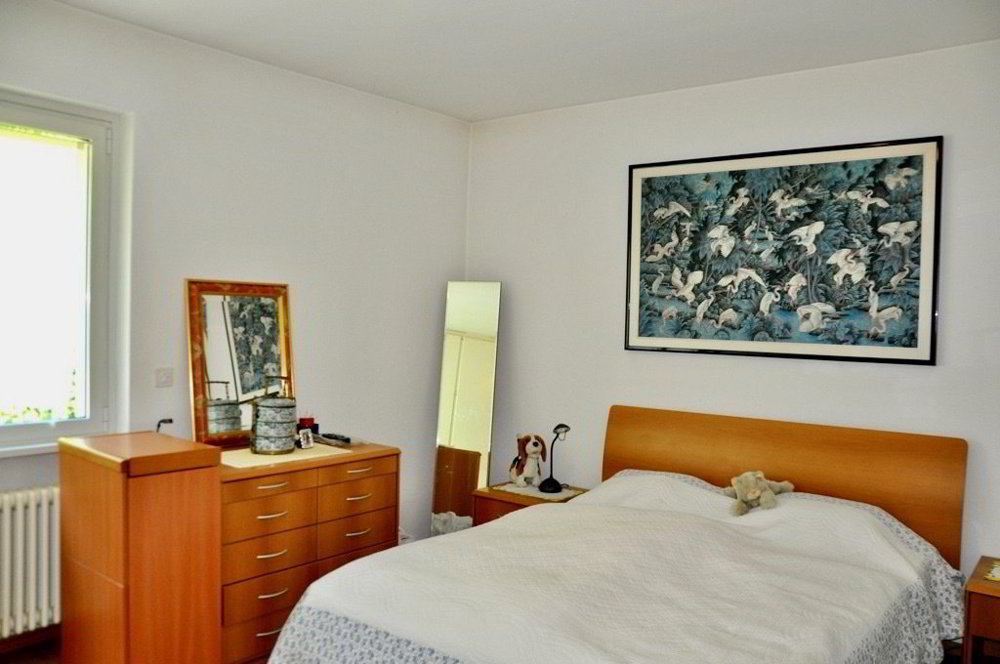 5 rooms House to buy in Carona - image 1/13